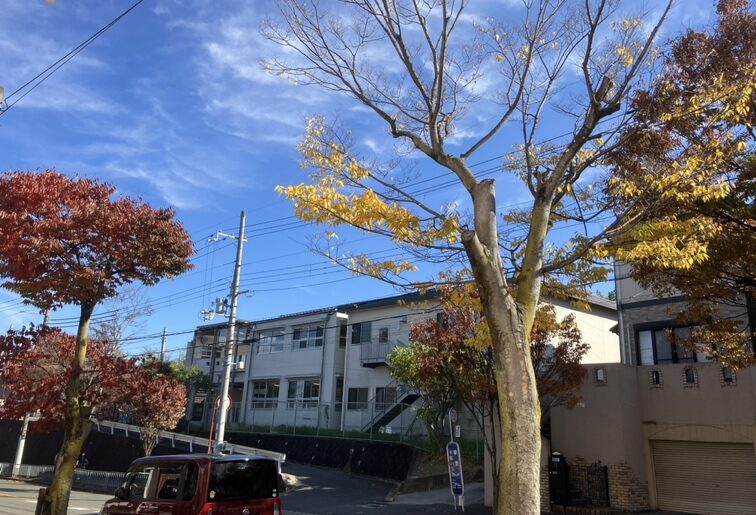 紅葉、見頃ですね！