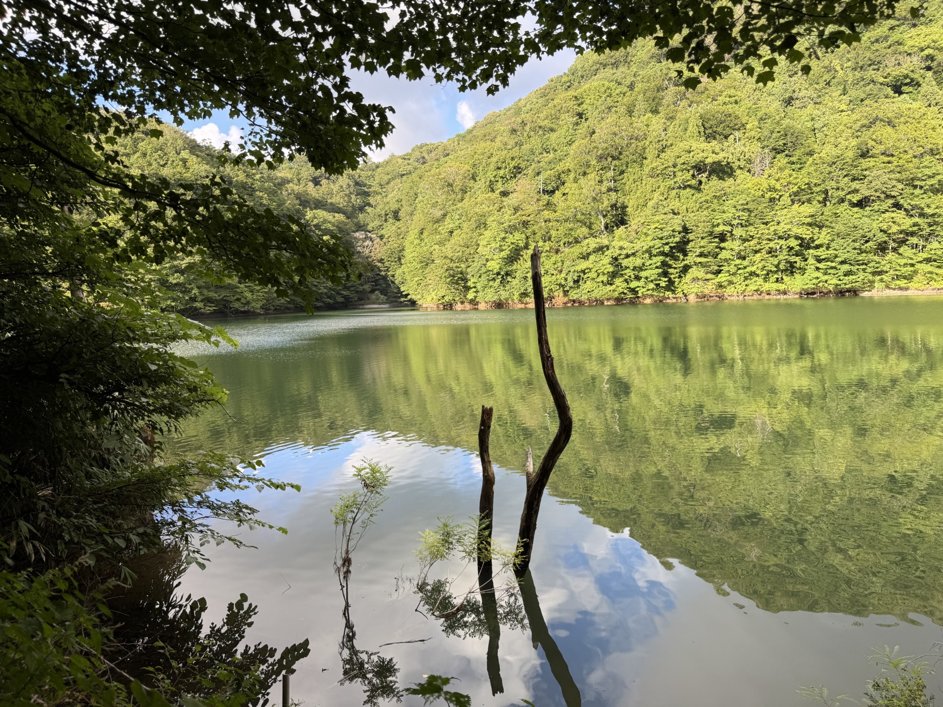 夏休みの青森旅行　自然編🌳🍃