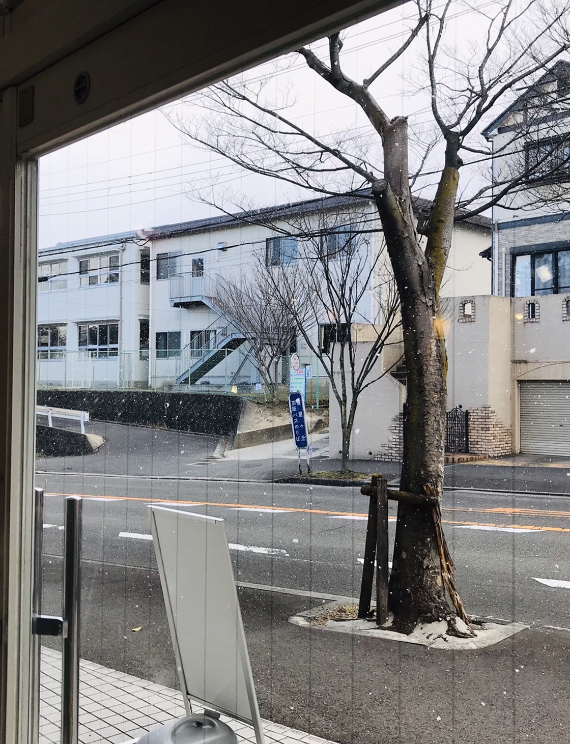 雪が降りました⛄